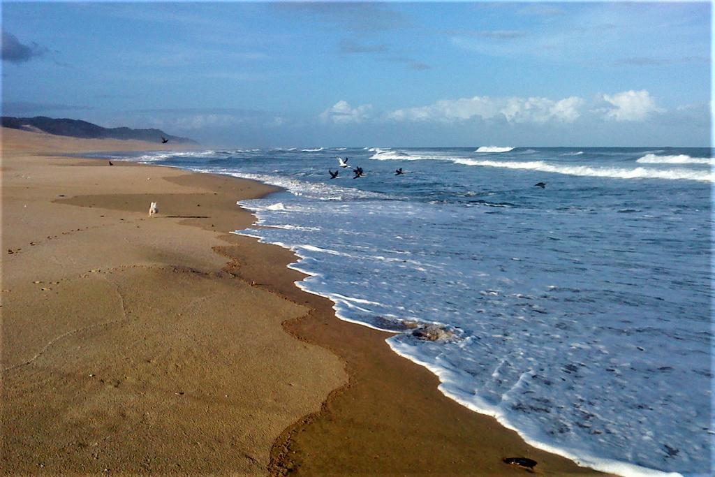 Panorama Guest House Port Alfred Esterno foto